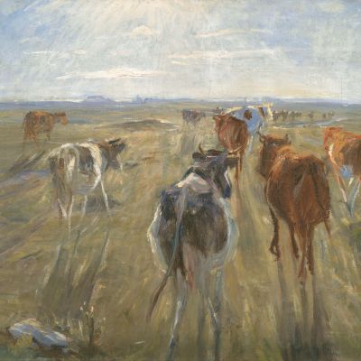 Omvisning: Natursyn